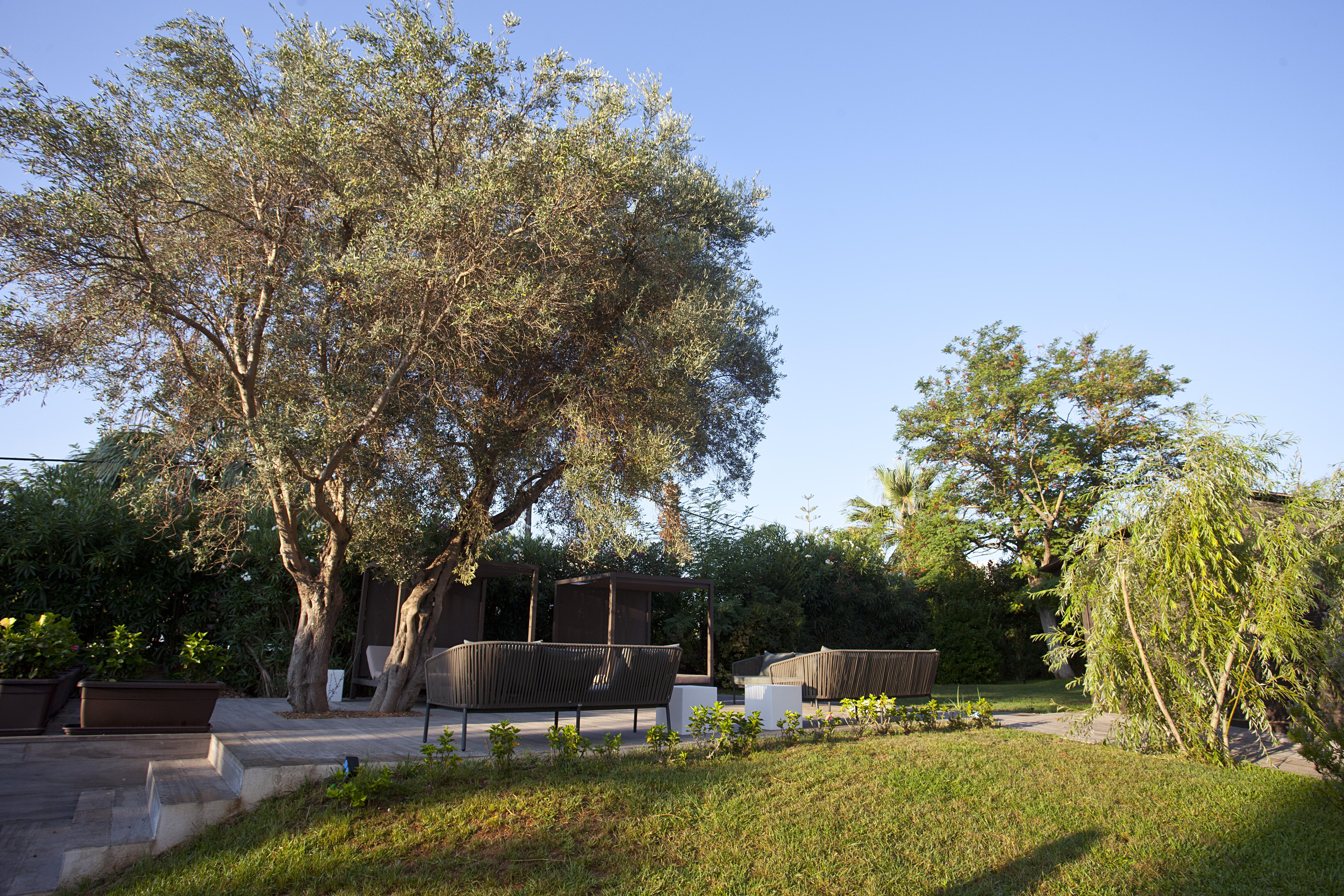 Bahia Pollensa Appart hôtel